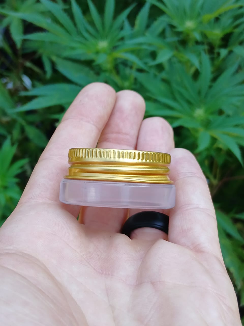 clear glass 7ml concentrate jars | lp + gold lid (10–1000 pack) fmf
