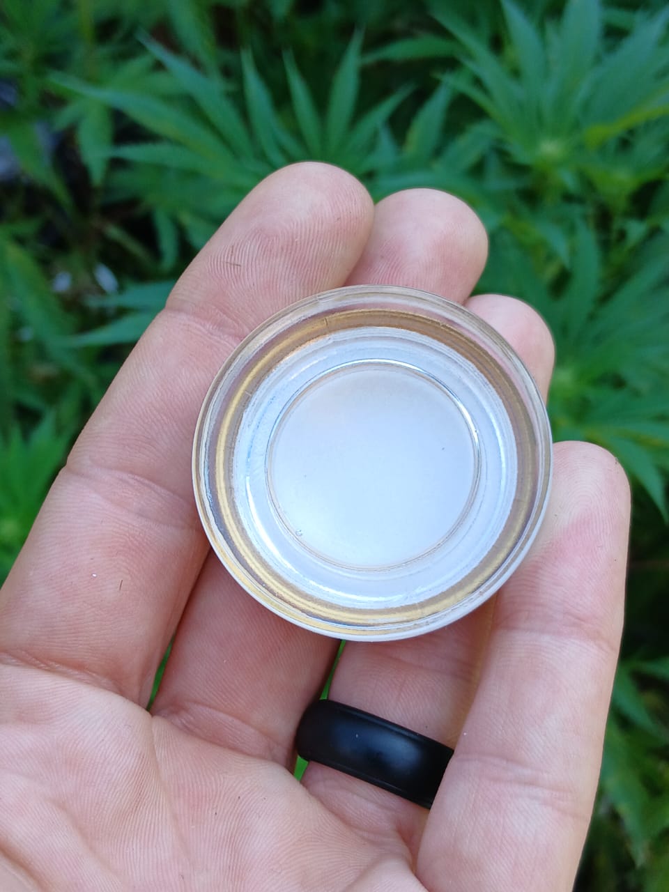 clear glass 7ml concentrate jars | lp + gold lid (10–1000 pack) fmf