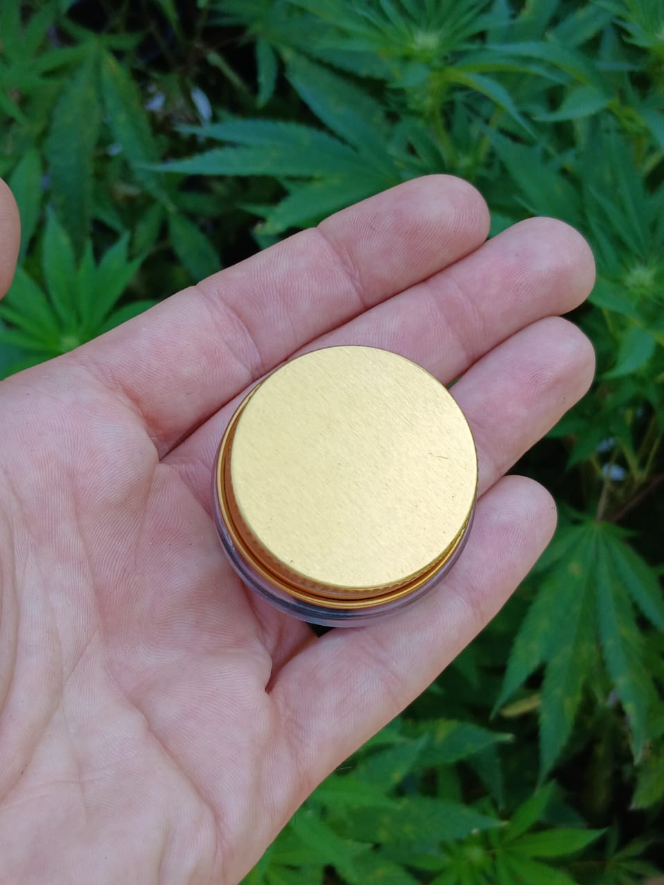 clear glass 7ml concentrate jars | lp + gold lid (10–1000 pack) fmf