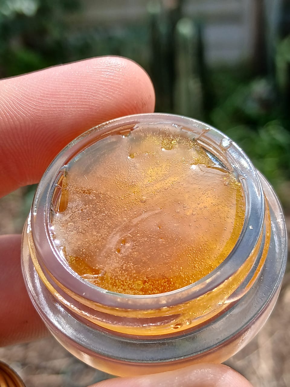 clear glass 7ml concentrate jars | lp + gold lid (10–1000 pack) fmf