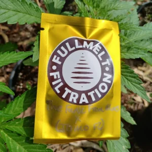 novelty seed packs | fullmelt selection's