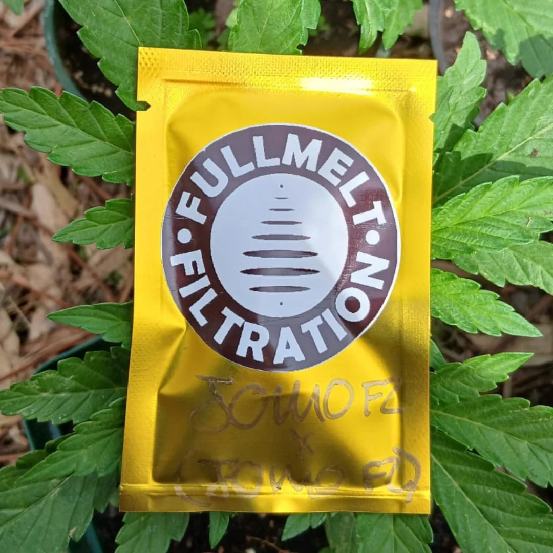 novelty seed packs | fullmelt selection's
